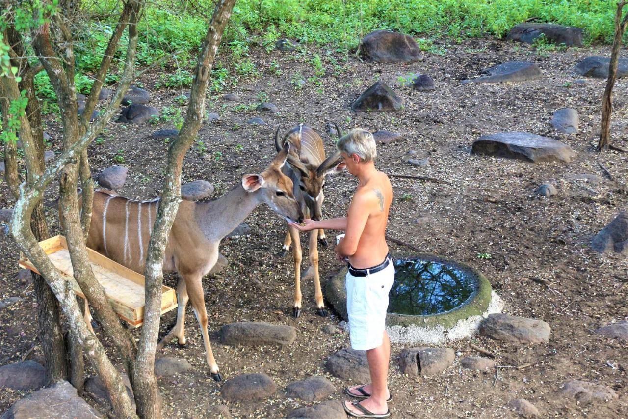 Apartamento Kruger Kumba - Lahlekile Nathi Marloth Park Exterior foto