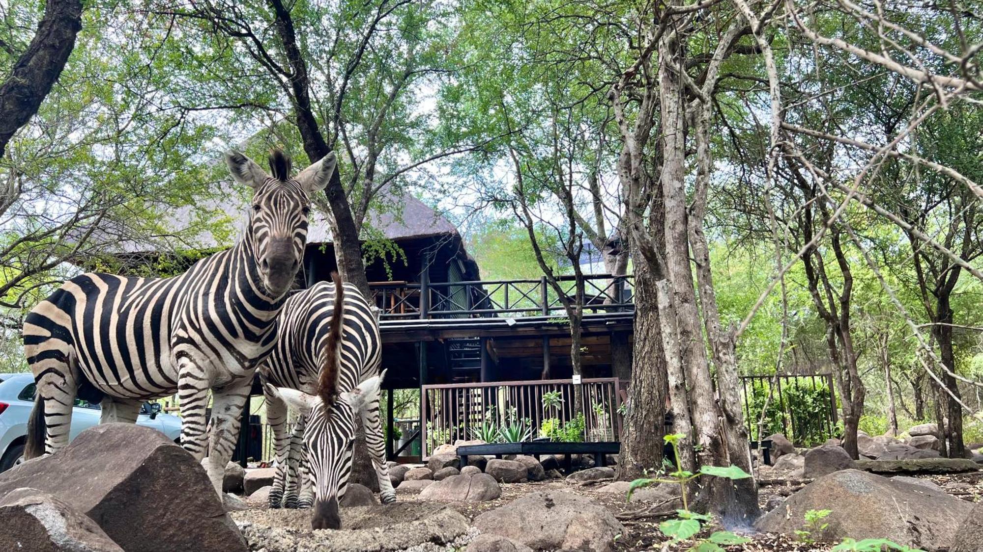 Apartamento Kruger Kumba - Lahlekile Nathi Marloth Park Exterior foto